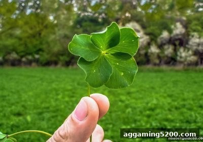 深入解析彩票奖金分配：nba投注平台用户必知的资金流向与提现技巧
